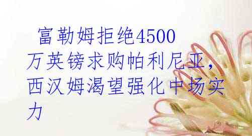 富勒姆拒绝4500万英镑求购帕利尼亚,西汉姆渴望强化中场实力