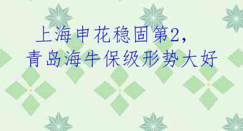 上海申花稳固第2,青岛海牛保级形势大好
