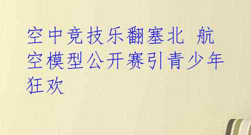 空中竞技乐翻塞北 航空模型公开赛引青少年狂欢