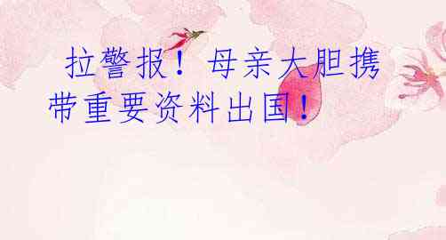 拉警报!母亲大胆携带重要资料出国!