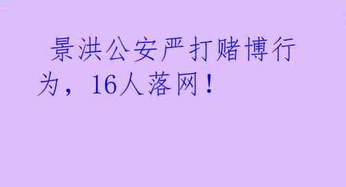 景洪公安严打赌博行为,16人落网!