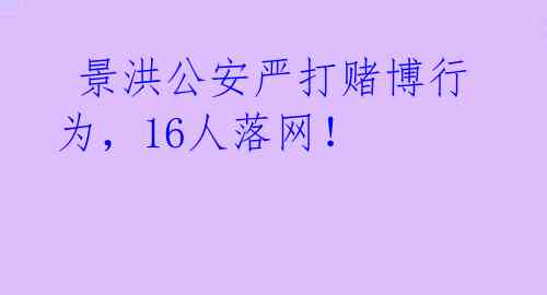  景洪公安严打赌博行为，16人落网！ 