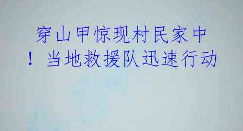  穿山甲惊现村民家中！当地救援队迅速行动 