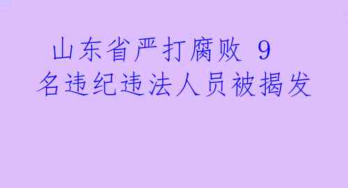山东省严打腐败 9名违纪违法人员被揭发