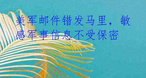 美军邮件错发马里,敏感军事信息不受保密