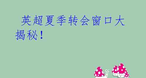 英超夏季转会窗口大揭秘!