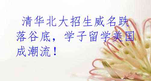 清华北大招生威名跌落谷底,学子留学美国成潮流!