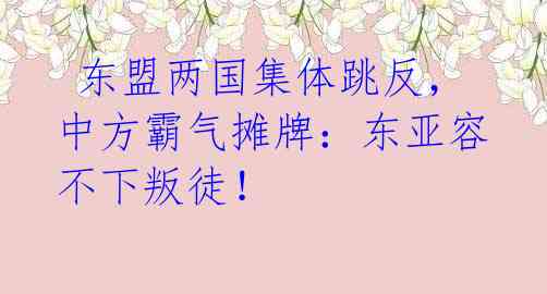 东盟两国集体跳反,中方霸气摊牌:东亚容不下叛徒!