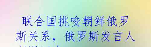 联合国挑唆朝鲜俄罗斯关系,俄罗斯发言人嘲讽回应