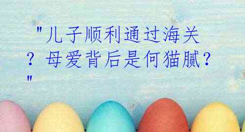 "儿子顺利通过海关?母爱背后是何猫腻?"