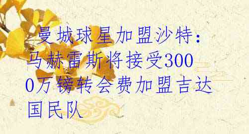  曼城球星加盟沙特：马赫雷斯将接受3000万镑转会费加盟吉达国民队