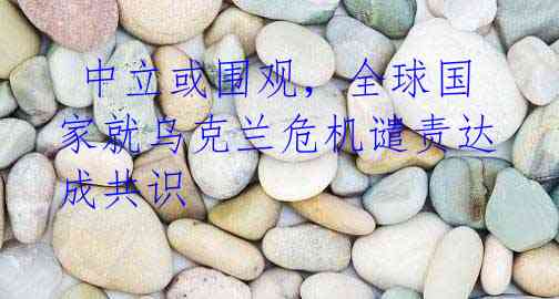  中立或围观，全球国家就乌克兰危机谴责达成共识
