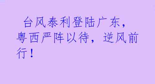  台风泰利登陆广东，粤西严阵以待，逆风前行！ 