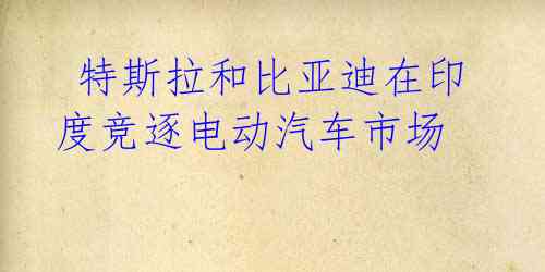 特斯拉和比亚迪在印度竞逐电动汽车市场