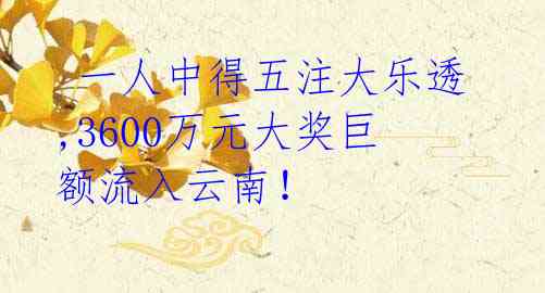 一人中得五注大乐透,3600万元大奖巨额流入云南!