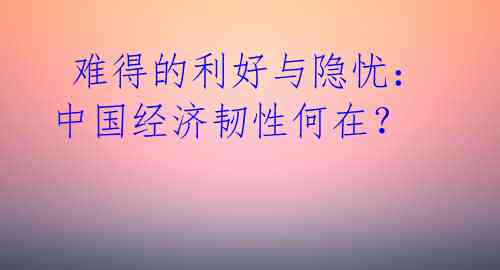  难得的利好与隐忧：中国经济韧性何在？ 