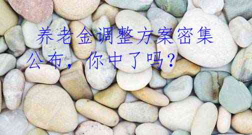 养老金调整方案密集公布,你中了吗?