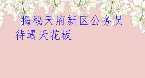 揭秘天府新区公务员待遇天花板