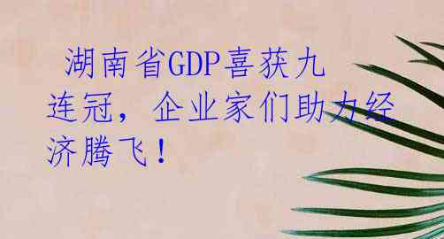 湖南省GDP喜获九连冠,企业家们助力经济腾飞!
