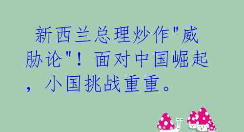  新西兰总理炒作"威胁论"！面对中国崛起，小国挑战重重。 