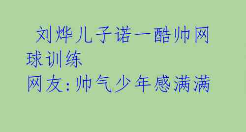 刘烨儿子诺一酷帅网球训练 网友:帅气少年感满满