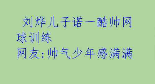  刘烨儿子诺一酷帅网球训练 网友:帅气少年感满满 