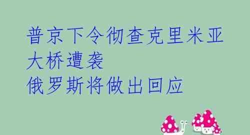 普京下令彻查克里米亚大桥遭袭 俄罗斯将做出回应