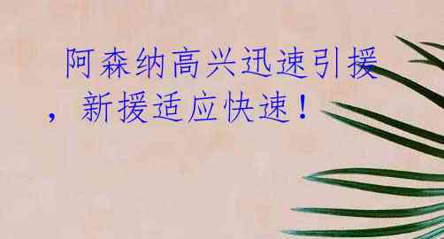  阿森纳高兴迅速引援，新援适应快速！