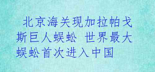  北京海关现加拉帕戈斯巨人蜈蚣 世界最大蜈蚣首次进入中国 