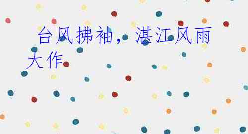 台风拂袖,湛江风雨大作