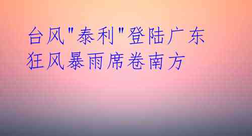 台风"泰利"登陆广东 狂风暴雨席卷南方
