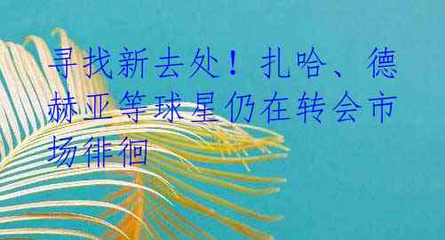 寻找新去处!扎哈、德赫亚等球星仍在转会市场徘徊