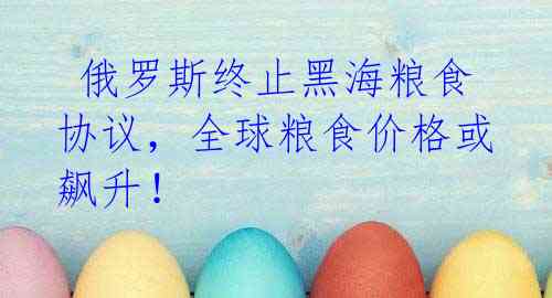  俄罗斯终止黑海粮食协议，全球粮食价格或飙升！ 