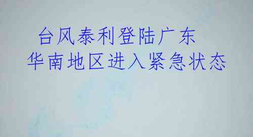  台风泰利登陆广东 华南地区进入紧急状态 