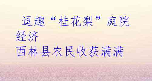 逗趣“桂花梨”庭院经济 西林县农民收获满满