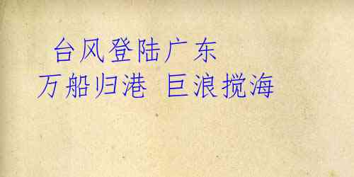 台风登陆广东 万船归港 巨浪搅海