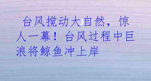 台风搅动大自然,惊人一幕!台风过程中巨浪将鲸鱼冲上岸