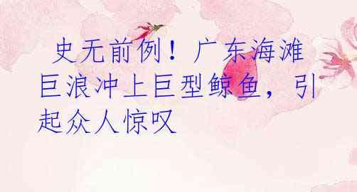 史无前例!广东海滩巨浪冲上巨型鲸鱼,引起众人惊叹