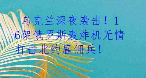 乌克兰深夜袭击!16架俄罗斯轰炸机无情打击北约雇佣兵!