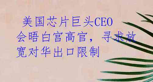 美国芯片巨头CEO会晤白宫高官,寻求放宽对华出口限制