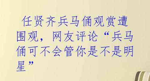 任贤齐兵马俑观赏遭围观,网友评论“兵马俑可不会管你是不是明星”