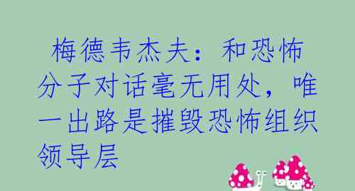 梅德韦杰夫:和恐怖分子对话毫无用处,唯一出路是摧毁恐怖组织领导层