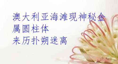 澳大利亚海滩现神秘金属圆柱体 来历扑朔迷离