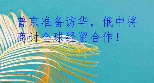 普京准备访华,俄中将商讨全球经贸合作!
