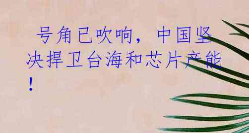 号角已吹响,中国坚决捍卫台海和芯片产能!
