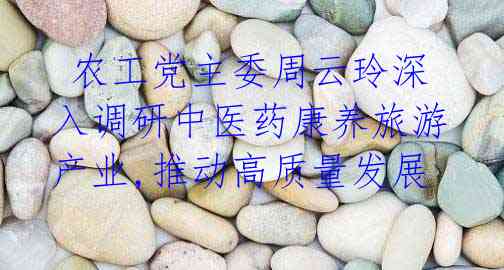 农工党主委周云玲深入调研中医药康养旅游产业,推动高质量发展