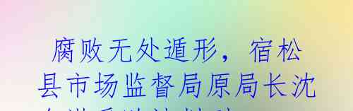 腐败无处遁形,宿松县市场监督局原局长沈金洪受贿被判刑