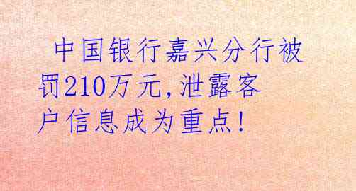  中国银行嘉兴分行被罚210万元,泄露客户信息成为重点! 