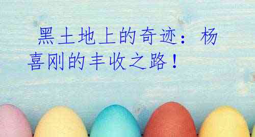 黑土地上的奇迹:杨喜刚的丰收之路!