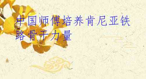 中国师傅培养肯尼亚铁路骨干力量